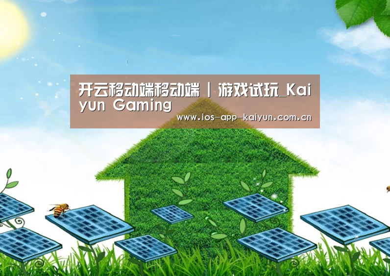 开云体育互动公司