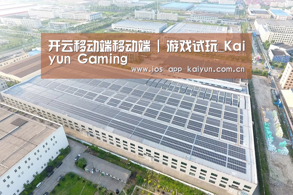 案例展示一