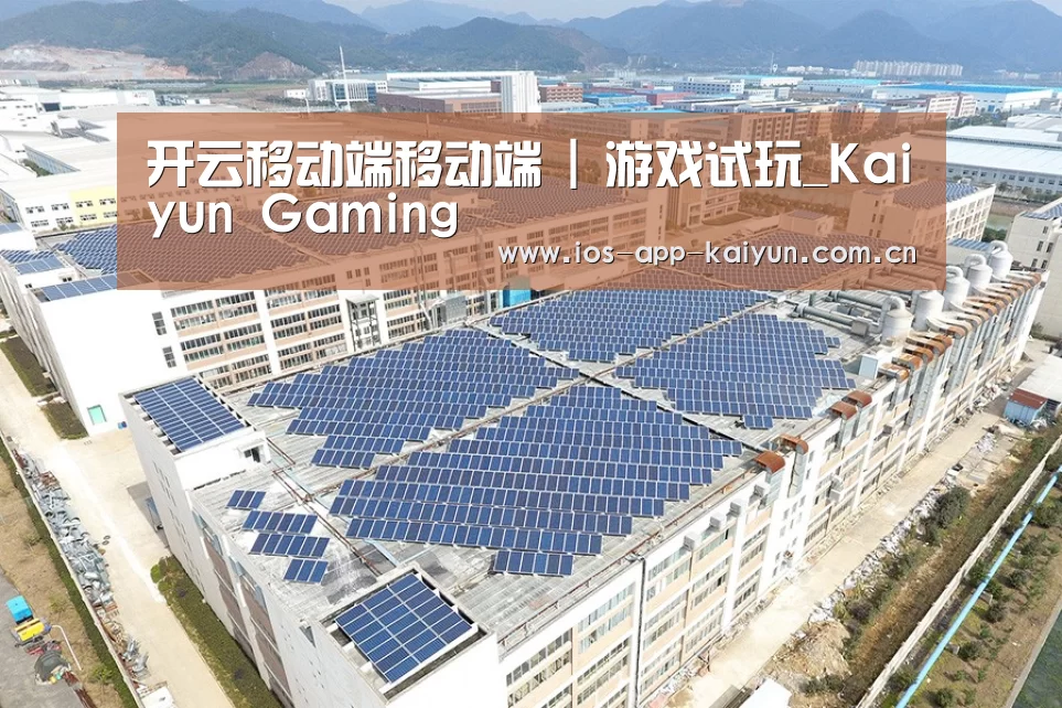 案例展示一