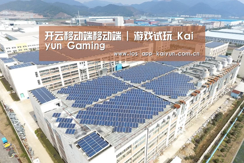 案例展示二