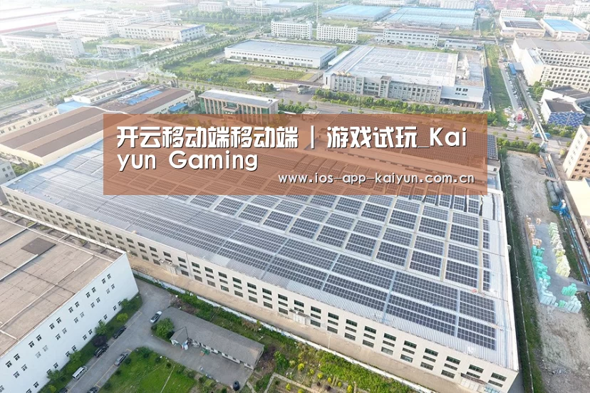案例展示二