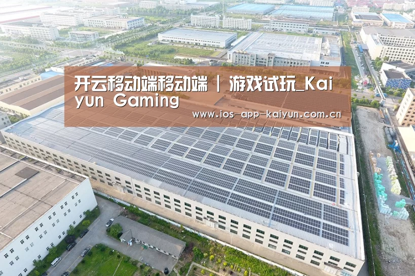 案例展示三