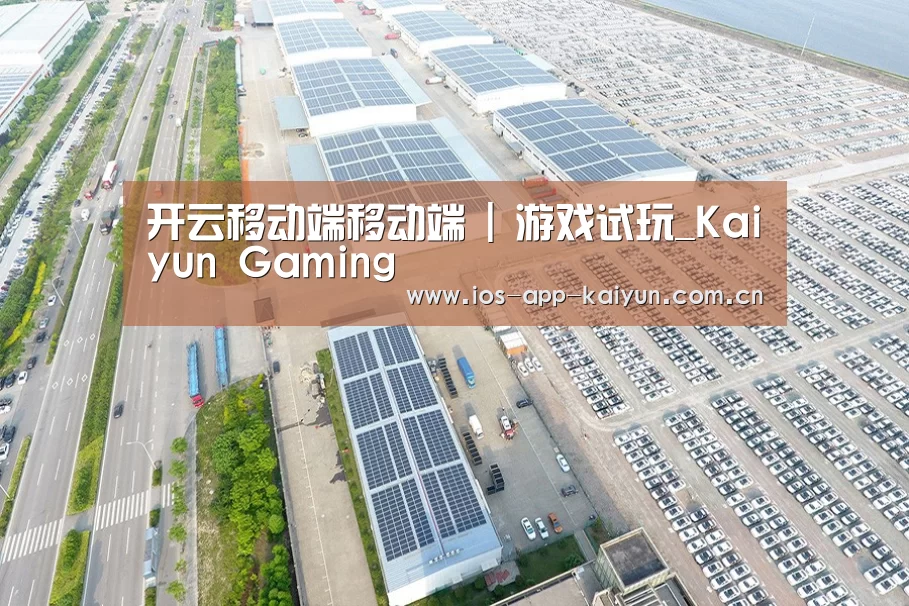 案例展示四