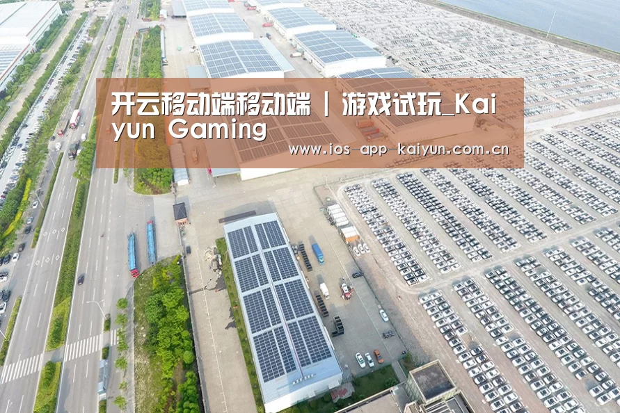 案例展示三