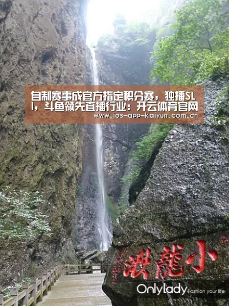 自制赛事成官方指定积分赛,独播SLI,斗鱼领先直播行业:开云体育官网(图2) 开云体育互动