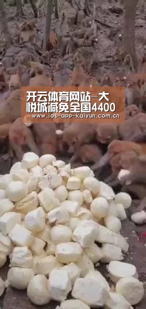 开云体育官网