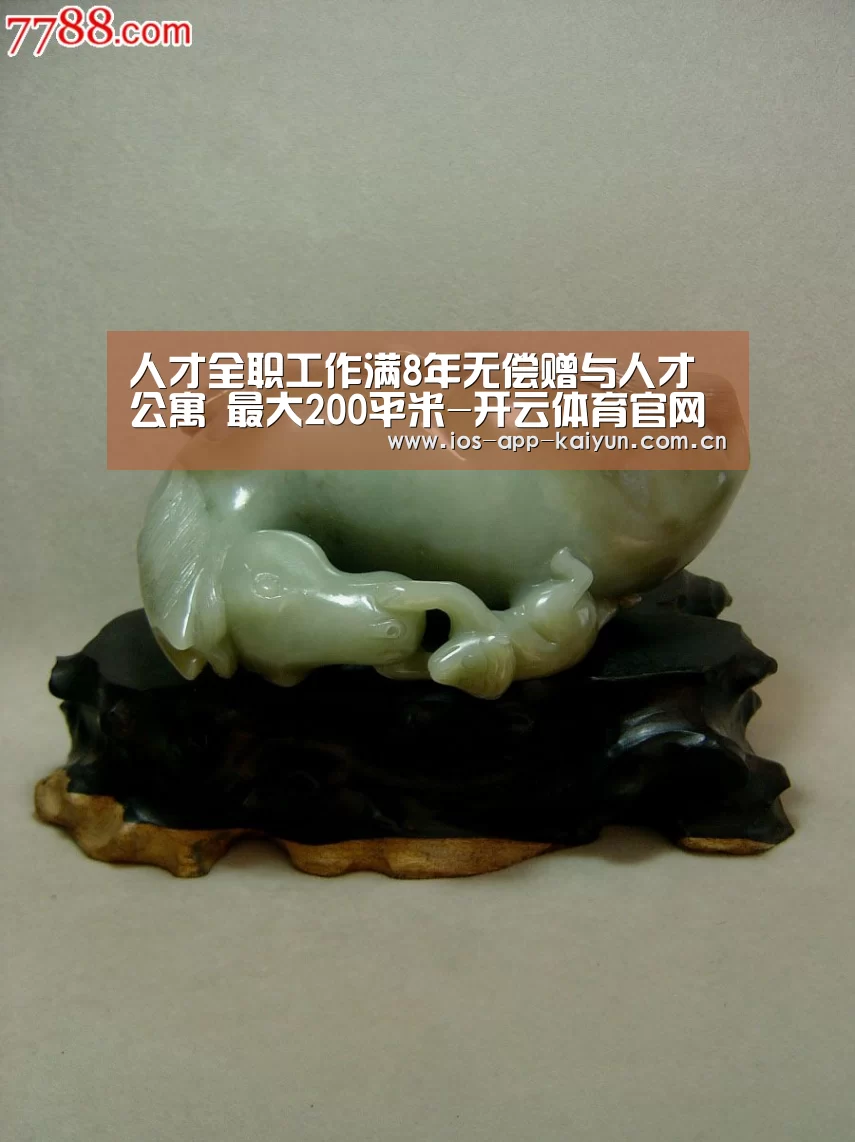 人才全职工作满8年无偿赠与人才公寓 最大200平米-开云体育官网(图2) 开云体育官网