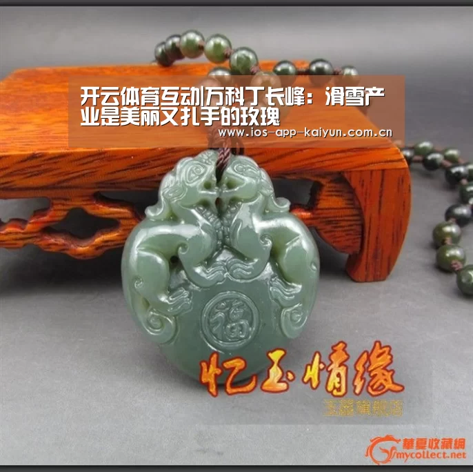 开云体育互动|万科丁长峰:滑雪产业是美丽又扎手的玫瑰(图2) 开元体育