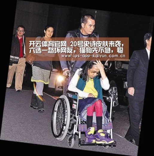 开云体育官网_20号史诗皮肤来袭,六选一愁坏网友,猫狗先不急,聪明的都选这款(图1) 开云体育互动