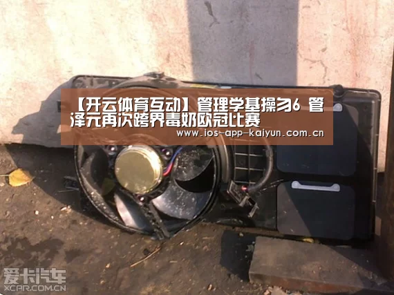 开云体育互动