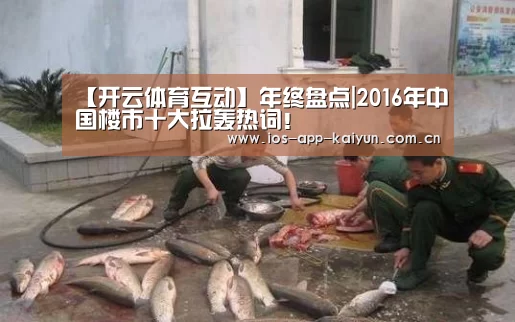 【开云体育互动】年终盘点|2016年中国楼市十大拉轰热词!(图2) 开云体育网站