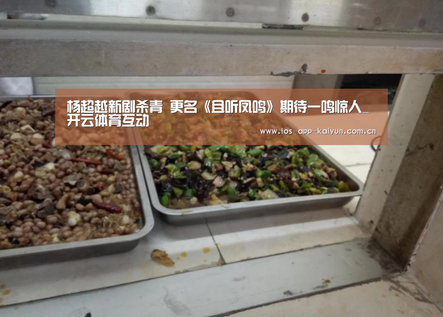 开云体育官网