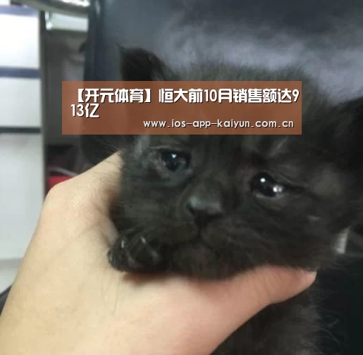 【开元体育】恒大前10月销售额达913亿