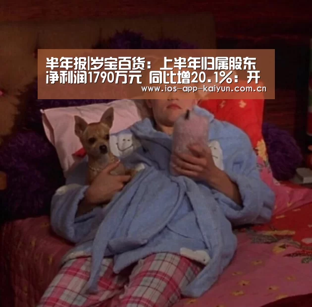 半年报|岁宝百货:上半年归属股东净利润1790万元 同比增20.1%:开云体育官网(图4) 开云体育官网